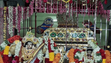 Photo of कराईकल अम्माइयार का भव्य मंगनी उत्सव, भक्तों ने किए भगवान शिव के दर्शन