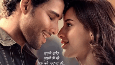 Photo of Dhadak 2 के नए पोस्टर में सिद्धांत-तृप्ति का रोमांस, इस दिन आएगा ट्रेलर