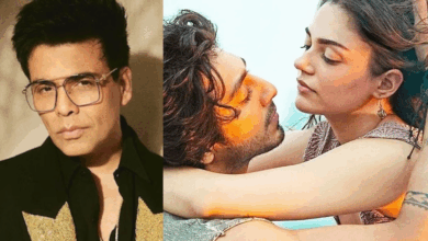 Photo of Saiyaara: ‘नेपोकिड का दाईजान’ कहे जाने पर फूटा करण जौहर का गुस्सा, ट्रोलर को लगाई फटकार