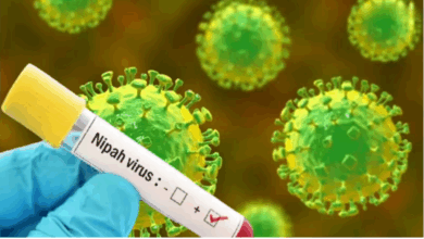 Photo of Nipah virus की केरल में दस्तक… पड़ोसी राज्य तमिलनाडु में सतर्कता की चेतावनी