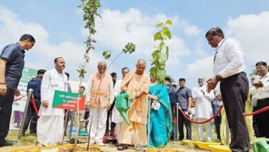 Photo of UP में चलेगा महाभियान! अयोध्या-आजमगढ़ में सीएम योगी… बाराबंकी में राज्यपाल करेंगी पौधरोपण