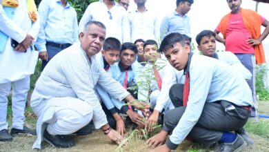 Photo of Deoria में दयाल फाउंडेशन ने किया वृक्षारोपण, 1 लाख औषधीय पौधे लगाने का है संकल्प