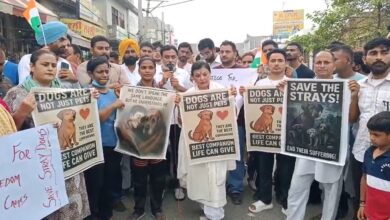 Photo of बेजुबानों के हक में निकाली गई शांतिपूर्ण रैली, सुप्रीम कोर्ट के आदेश का किया विरोध