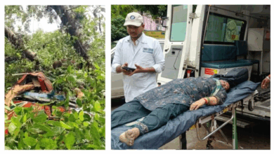 Photo of Barabanki Bus Accident: बाराबंकी में रोडवेज बस पर पेड़ गिरने से 4 की मौत; कई घायल