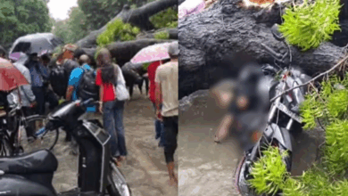 Photo of बारिश के बीच दिल्ली में गाड़ियों पर गिरा भारी पेड़, बाइक सवार बाप-बेटी दबे