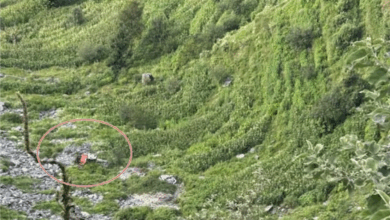 Photo of हिमाचल प्रदेश में बड़ा हादसा… चट्टान गिरने से गहरी खाई में गिरी कार, 6 लोगों की मौत