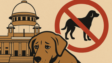 Photo of ‘आवारा कुत्तों को शेल्टर होम में न भेंजे’, सुप्रीम कोर्ट के फैसले पर नाराज एनिमल केयर सोसायटी