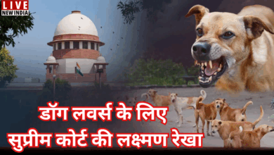 Photo of Dogs Lovers को कोर्ट से बड़ी राहत, लेकिन शर्तें भी लागू…