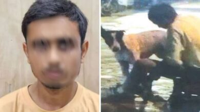 Photo of लखनऊ में युवक ने डॉगी के साथ की शर्मनाक करतूत, वीडियो वायरल होने पर पुलिस ने दबोचा