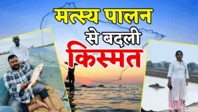Photo of मत्स्य पालन में मिसाल बनी जौनपुर की मीरा सिंह… मिशन शक्ति से सशक्त हो रहीं महिला