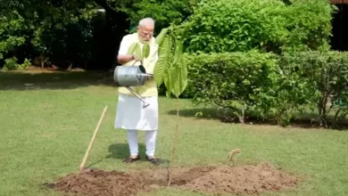 Photo of पीएम मोदी ने अपने 75वें जन्मदिन पर लगाया कदंब का पौधा, किंग चार्ल्स से मिला था उपहार