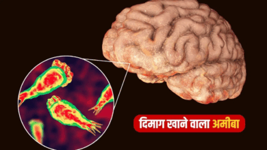 Photo of ब्रेन ईटिंग अमीबा से अब तक 7 की मौत, जानें लक्षण और बचाव