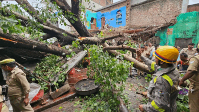 Photo of Lucknow News: लगातार बारिश से 150 साल पुराना पेड़ गिरा, 1 की मौत; कई घायल…