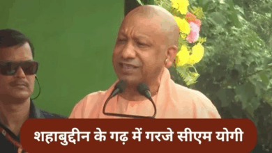 Photo of Bihar Elections: सीवान में गरजे CM योगी, शहाबुद्दीन के बेटे पर किया कटाक्ष…