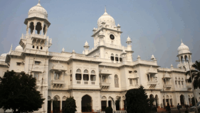 Photo of Lucknow News: नाराज KGMU की नर्स ने लगाया गलत वीगो, हाथ काटने की नौबत
