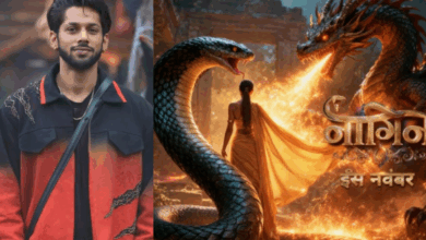 Photo of Bigg Boss 19 से बसीर अली का शॉकिंग एविक्शन, Naagin 7 में हुई एंट्री…?