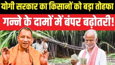 Photo of गन्ना किसानों को योगी सरकार का तोहफा, 30 रुपए प्रति क्विंटल बढ़ा गन्ना मूल्य