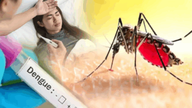 Photo of नोएडा में डेंगू का प्रकोप जारी, चार दिन में मिले 53 नए मरीज