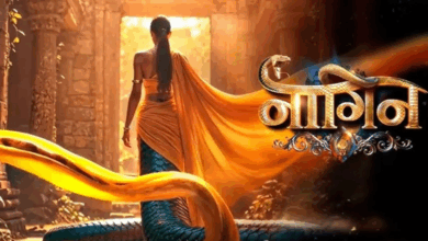 Photo of Naagin 7: एकता कपूर के शो में नागिन बनेगी ये हसीना, सलमान खान भी देखकर शॉक्ड