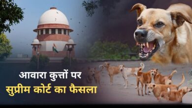 Photo of आवारा कुत्तों को हटाने पर SC का सख्त आदेश, MCD को दिया 8 हफ्तों का अल्टीमेटम