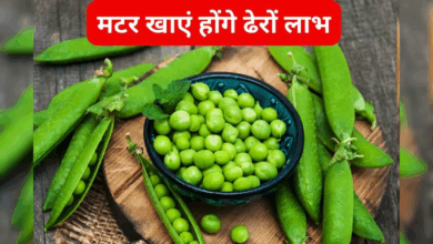 Photo of Health Tips: सर्दियों का सुपरफूड है हरी मटर, रोज खाने से मिलेंगे जबरदस्त फायदे