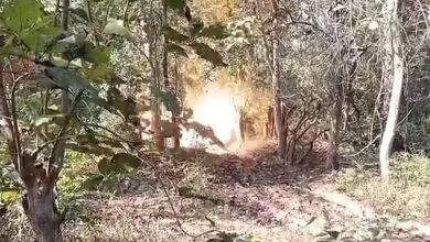 Photo of नारायणपुर जंगल से तीन IED बरामद… नक्सलियों की साजिश नाकाम