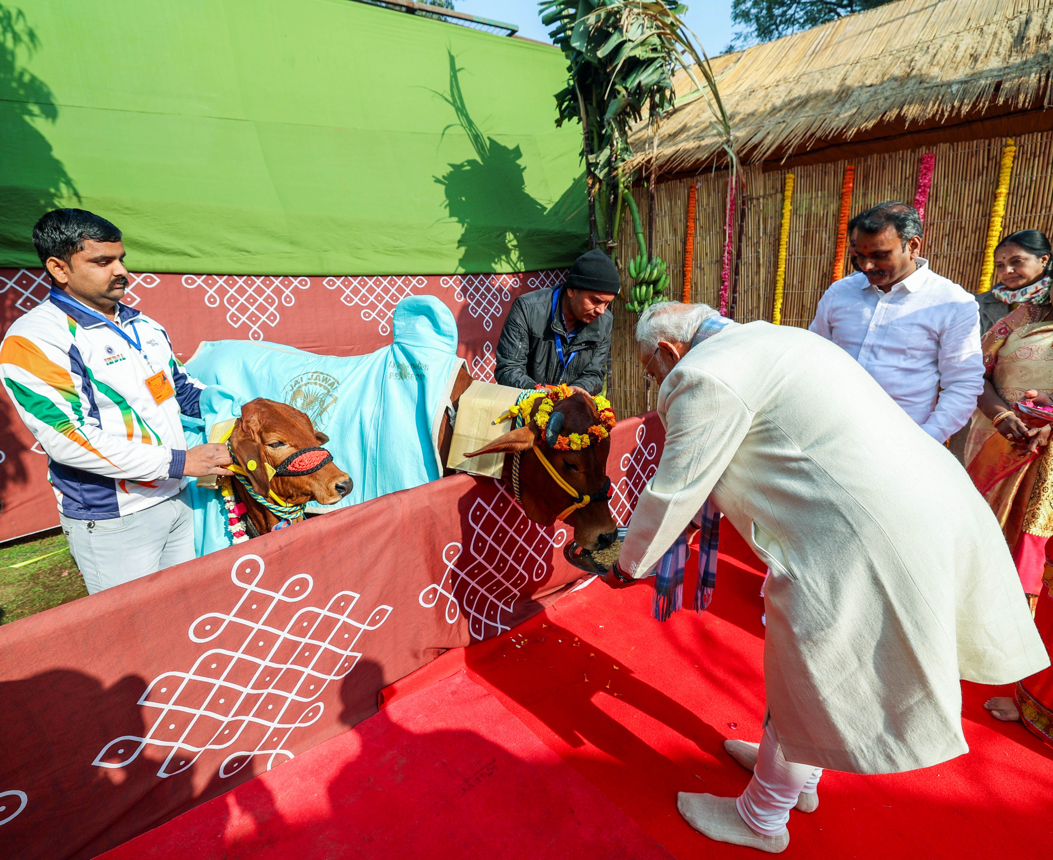 Photo of PM Modi ने मनाया पोंगल… तमिल संस्कृति को बताया दुनिया की प्राचीनतम जीवित सभ्यता
