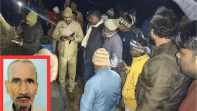 Photo of UP News: मधुमक्खियों से बचने के लिए घास में छिपा बुजुर्ग, अचानक लगी आग…