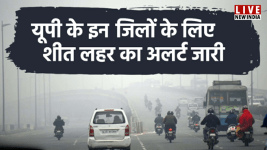 Photo of शीतलहर की चपेट में यूपी, लखनऊ सहित इन जिलों में अलर्ट जारी; बाराबंकी सबसे ठंडा