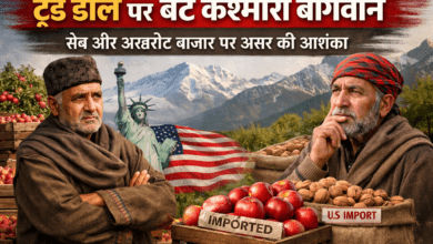 Photo of “कश्मीर बागवानी की नई चुनौती…अमेरिका डील से घाटी के किसानों पर खतरा या मौका?”