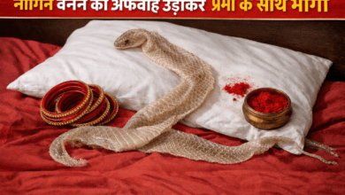 Photo of UP News: केंचुल, सिंदूर और चूड़ियाँ… नागिन बनने की अफवाह की चौंकाने वाली सच्चाई