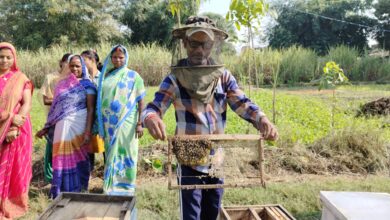 Photo of शहद की मिठास से आत्मनिर्भरता… यूपी की एक लाख महिलाएं बढ़ाएंगी आय