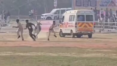Photo of बेगूसराय में हाई सिक्योरिटी के बीच सांड की एंट्री, CM कार्यक्रम से पहले मचा हड़कंप…