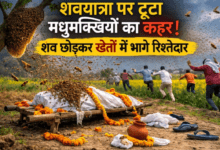 Photo of UP News: शव यात्रा में मधुमक्खियों ने मचाया तांडव, अर्थी को छोड़कर भागे लोग