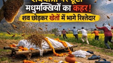 Photo of UP News: शव यात्रा में मधुमक्खियों ने मचाया तांडव, अर्थी को छोड़कर भागे लोग