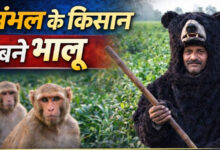 Photo of Sambhal में ‘भालू’ बने किसान, बंदरों के आतंक से बचाने लगा देसी जुगाड़…