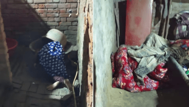 Photo of Lucknow News: लखनऊ में बड़ा हत्याकांड…कमरे में मां और बाहर मिली बेटे की लाश
