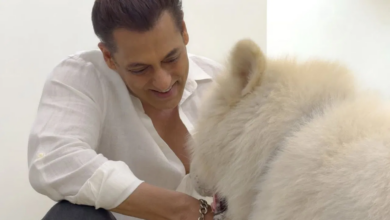 Photo of Salman Khan ने अपने ‘सुख’ पर लुटाया प्यार, मिनटों में इंटरनेट पर वायरल हुई फ़ोटोज़