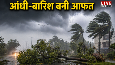 Photo of आंधी-बारिश बनी आफत, 18 मौतें; आज भी कई जिलों में अलर्ट जारी