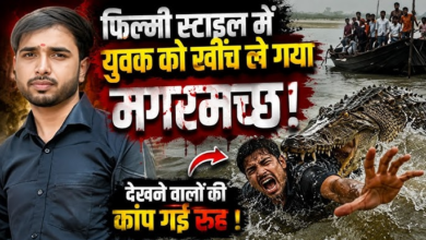 Photo of UP News: सास की चिता सजा रहे दामाद को खींच ले गया मगरमच्छ, अभी तक नहीं मिली बॉडी