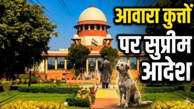 Photo of आवारा कुत्तों पर SC का बड़ा फैसला, डॉग लवर्स की सभी याचिकाएं खारिज