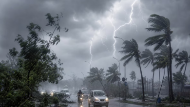 Photo of मानसून की धमाकेदार एंट्री, कई राज्यों में भारी बारिश के साथ चलेंगी तेज हवाएं…