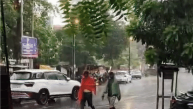 Photo of दिन में छाया अंधेरा, गोरखपुर में काले बादलों और बारिश ने दिलाई राहत…