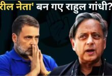 Photo of ‘असली नहीं, रील नेता हैं राहुल’, थरूर की टिप्पणी के बहाने भाजपा का बड़ा हमला