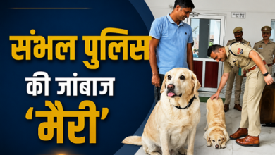 Photo of UP News: शाबाश मैरी! गमछा सूंघकर ढूंढ निकाला रेपिस्ट, संभल में ऐसे पकड़ा गया दुष्कर्मी
