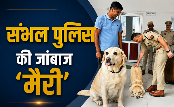 Sambhal Crime News, Police Dog Mary