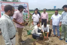 Photo of ‘एक पेड़ मां के नाम’ अभियान बना जनआंदोलन, स्कूलों, कॉलेजों और गांवों में दिखा उत्साह…