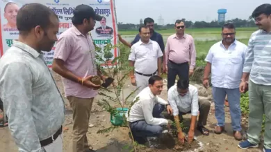 Photo of ‘एक पेड़ मां के नाम’ अभियान बना जनआंदोलन, स्कूलों, कॉलेजों और गांवों में दिखा उत्साह…