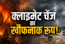 Photo of धरती पर तबाही की दस्तक! कहीं धधकते जंगल, कहीं सैलाब… क्या सच हो रही है वो भविष्यवाणी