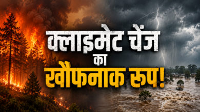 Photo of धरती पर तबाही की दस्तक! कहीं धधकते जंगल, कहीं सैलाब… क्या सच हो रही है वो भविष्यवाणी